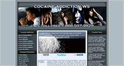 Desktop Screenshot of cocaineaddiction.ws